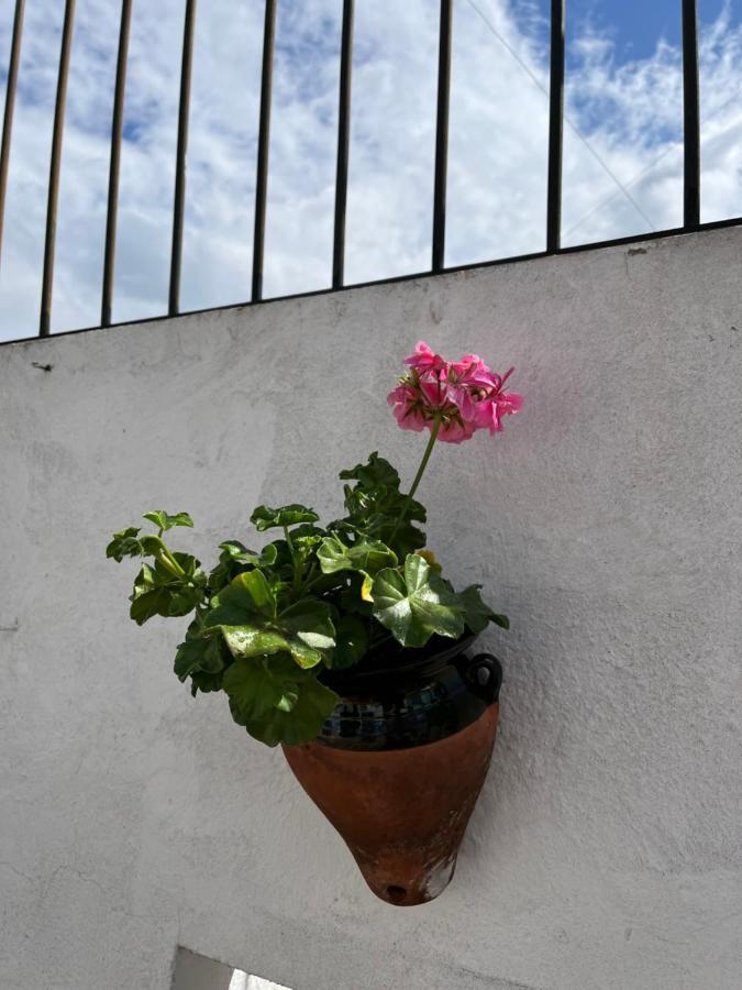 Atico Centro 17 Jerez de la Frontera Exterior foto